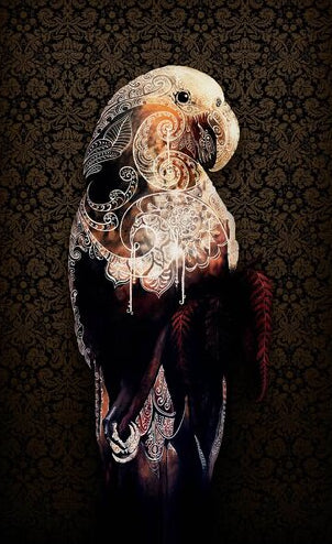 The Heart of the Kaka